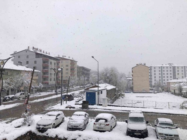 Hizan’da kar yağışı