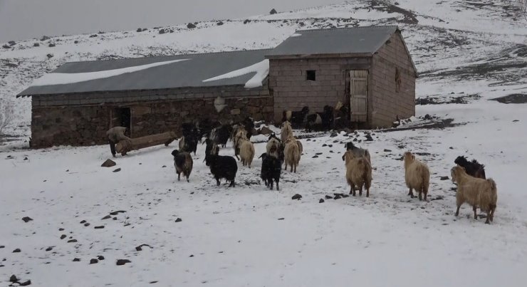 Muş’ta kar yağışı