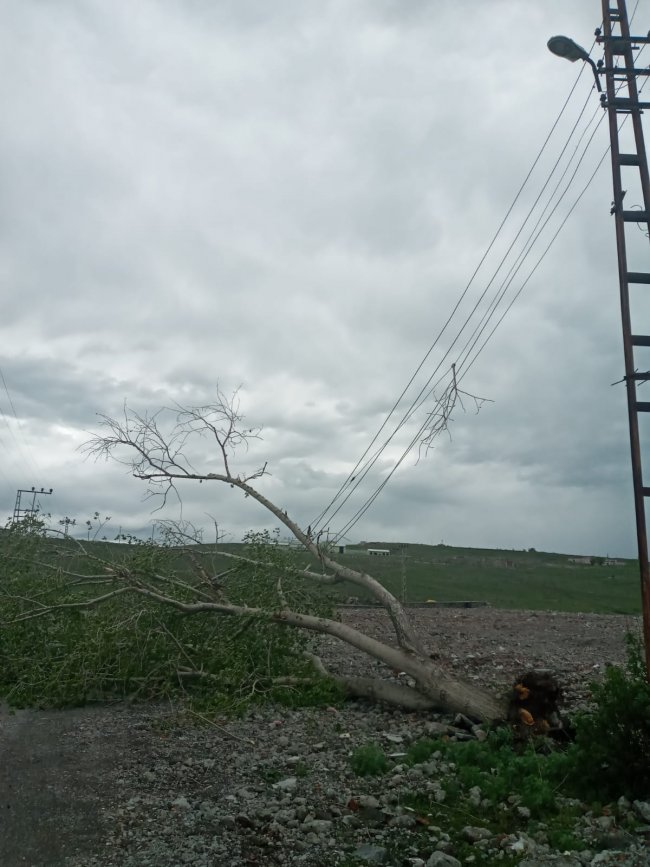 kars’ta-kuvvetli-ruzgar-maddi-hasara-yol-acti-(27).jpg
