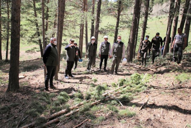 sarikamis’ta-ormancilik-calismalari-yerinde-incelendi-(1).jpg