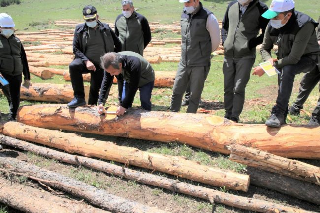 sarikamis’ta-ormancilik-calismalari-yerinde-incelendi-(4).jpg